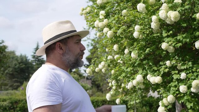 A bearded man in a straw hat drinks coffee near white snowball viburnum blossoms. The sunny garden video shows a relaxed outdoor break.