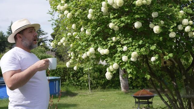 A man pauses with a mug under a large snowball viburnum shrub. White blooms, green leaves, and garden light create a quiet summer mood.