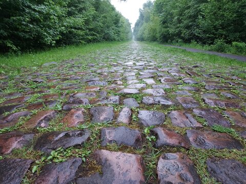 secteur pav&eacute; Wallers-Arenberg - Dr&egrave;ve boucle D'H&eacute;rin - au c&oelig;ur de la for&ecirc;t de Raismes-Saint-Amand-Wallers. Rendue c&eacute;l&egrave;bre par Paris-Roubaix, &eacute;tape du tour de France