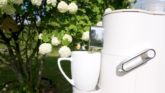 A white coffee maker pours espresso into a mug near blooming snowball viburnum. Bright garden light and white flowers frame the quiet outdoor scene.