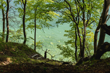 Fototapeta premium Turquoise Baltic Sea water and submerged stones seen through green beech forest from a coastal cliff path in Jasmund National Park, Rugen Island, Germany