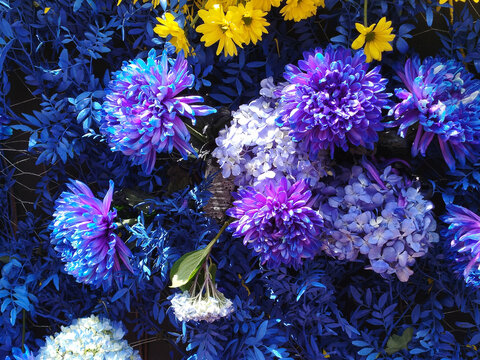 Vista superior de flores de crisantemo y hortensia en tonos azul y morado con peque&ntilde;os detalles amarillos