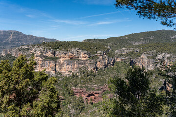 Obraz premium Wide shot of a dramatic canyon landscape featuring layered rock walls, pine-covered plateaus, and a deep gorge under a bright, cloudless sky.
