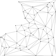 Intricate black and white polygonal mesh background with dense network of connected dots and geometric triangles. © T25T