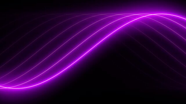 Stunning and Beautiful Dynamic Neon Purple Wave Patterns Gracefully Flowing on a Dark Background. High quality 4k footage