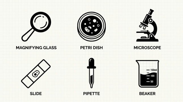 Laboratory Equipment Icons Magnifying Glass Petri Dish and Microscope