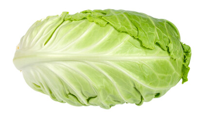 Fototapeta premium Fresh pointed cabbage isolated on transparent background