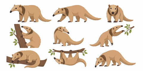 Obraz premium A group of anteaters are climbing and standing on trees and ground in forest.