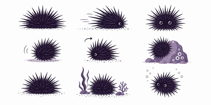 An illustration of various sea urchins and a sea creature swimming near underwater plants and bubbles in the ocean.