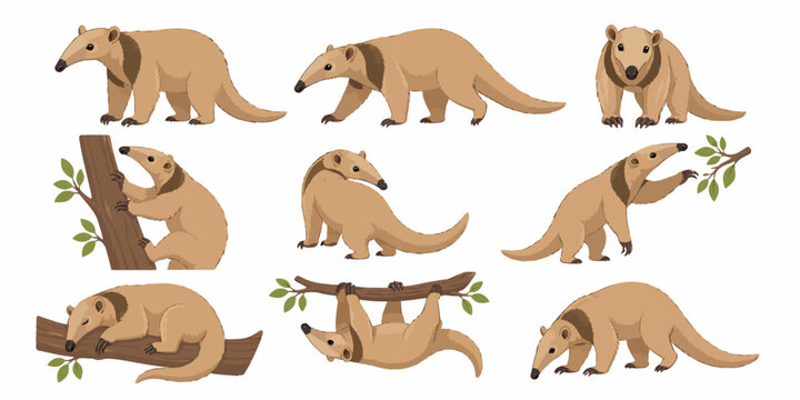 A group of anteaters are climbing and standing on trees and ground in forest.