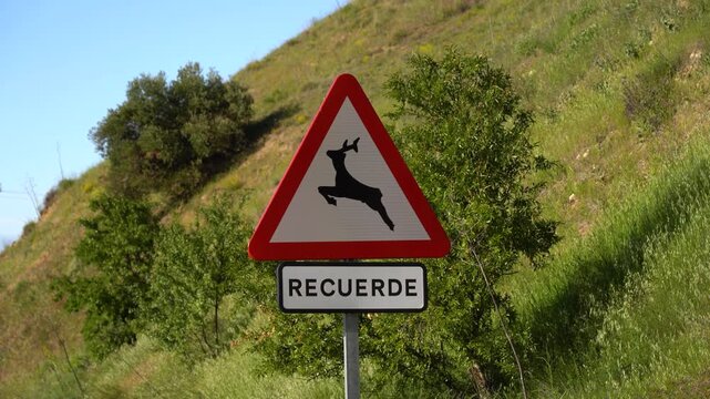 Detalle de una se&ntilde;al de tr&aacute;fico de peligro que advierte el riesgo de animales en libertad cruzando la v&iacute;a. Madrid, Espa&ntilde;a, mayo de 2026.