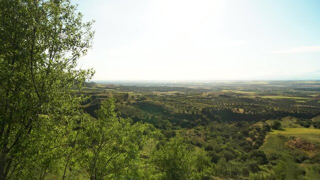 Vista panor&aacute;mica de una dehesa en Madrid, con amplias praderas, encinas dispersas y paisaje natural caracter&iacute;stico del entorno rural de la Comunidad de Madrid.