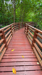 Fototapeta premium A wooden walkway in a mangrove forest represents environmental awareness, nature conservation, and sustainable eco-tourism
