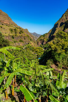 Road and transport of goods to  villages such as Rabo Curto and Covas in Vale do Paul in Santo Ant&atilde;o, Cape Verde.