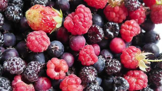 Various fresh summer berries backgrounds. Strawberry, blueberry, raspberry red currant and blackberry mix. Top view, flat lay.