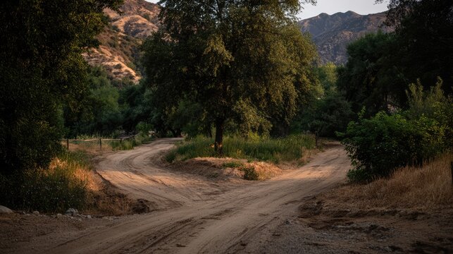 Dirt road split in scenic landscape framed by trees and mountains