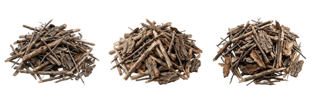 Pile of dry wooden sticks firewood kindling isolated transparent background natural campfire branches png