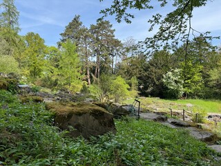 Fototapeta premium The Botanical Garden of the University of Zurich, Switzerland or Botanischer Garten der Universität Zürich (Botanischer Garten der Universitat Zurich - Botanischer Garten der Universitaet Zuerich)