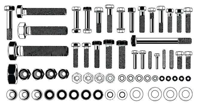 Assortment of various metal fasteners including bolts nuts washers industrial hardware components in line art style with stainless steel, black
