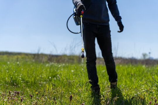 Worker with sprayer applying herbicide or tick control chemical on green grass field outdoors during sunny daytime.