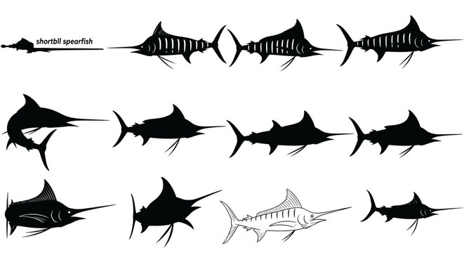 Spearfish Evolution Silhouette and Illustration Set