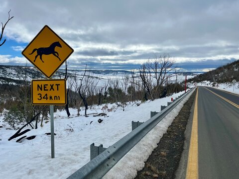 Brumby road sign near Kiandra