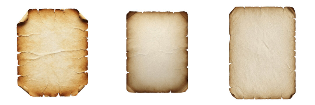 Antique Parchment Scroll Paper PNG Isolated on Transparent Background for Retro Graphic Design and Ephemera Background