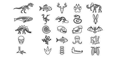 Icon set collection of prehistoric fossils, animal skeletons, ancient skulls, dinosaur bones, and paleontological remains for educational and scientific research. © Raka Firdaus 