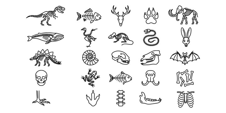 Icon set collection of prehistoric fossils, animal skeletons, ancient skulls, dinosaur bones, and paleontological remains for educational and scientific research.