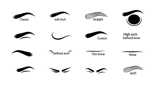 Various eyebrow shapes and styles are illustrated on a white background