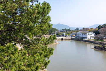 Fototapeta premium Hagi Castle Moat with Pine Tree Framing View of Mountains and Town