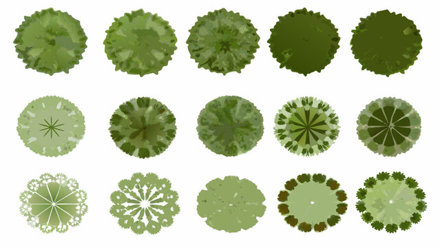 collection of green tree top views aerial perspective vector illustration on white background high quality