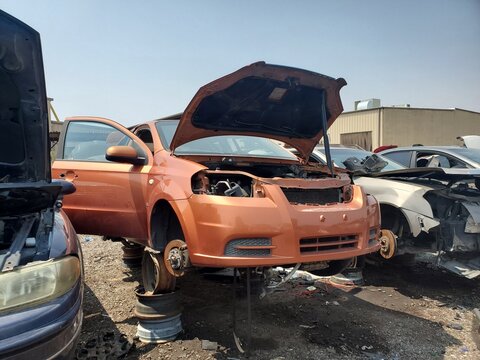 Orange Car in a Junkyard with Hoods Up and Door Open