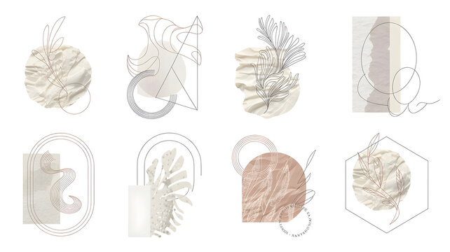 A collection of elegant decorative ornament elements arranged as isolated PNG objects with transpare