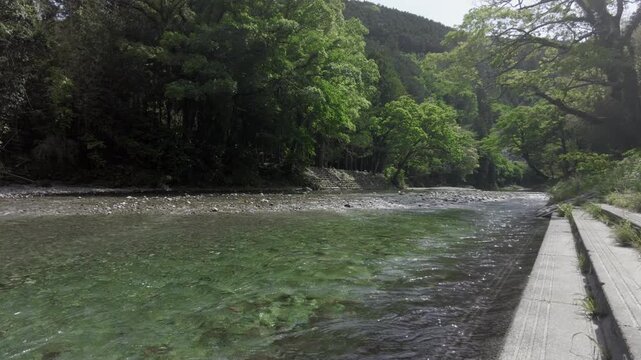 浜松市天竜区 阿多古川の逆光に輝くエメラルドグリーンの清流