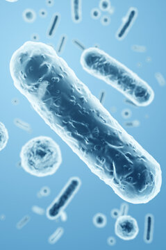 Escherichia coli, Klebsiella, and Enterobacter, gram-negative rod-shaped bacteria, close-up. 3D rendering illustration