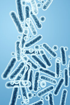 Gram-negative rod-shaped bacteria, Enterobacteriaceae, intestinal microbiome and infectious agents. 3D rendering illustration
