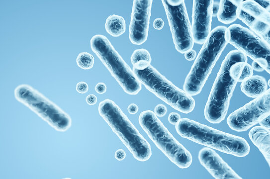 Gram-negative rod-shaped bacteria, Enterobacteriaceae family, intestinal microorganisms. 3D rendering illustration