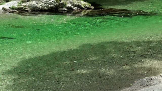 浜松市天竜区 阿多古川の清流をやや高い位置から見下ろす風景