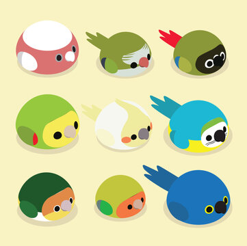 Meringue Animal Set Cute Cartoon Dessert Collection - Parrots Macaw
