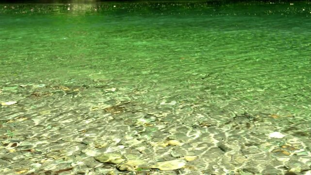 浜松市天竜区 阿多古川の清流をやや高い位置から見下ろす風景