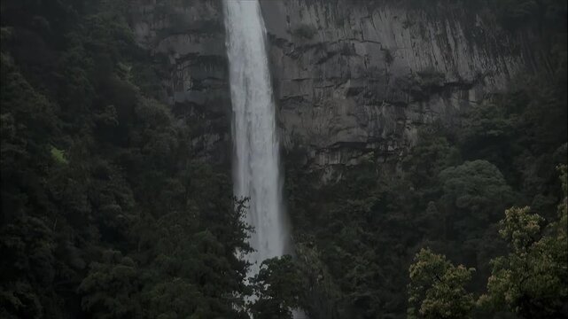 Majestic waterfall cascades down a sheer cliff face surrounded by lush green forest