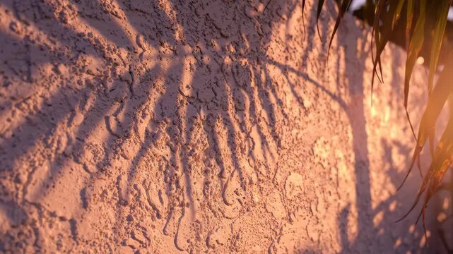 Palm Leaf Shadow on Textured Wall at Sunset: The intricate pattern of palm fronds casts long, dancing shadows across a warmly lit, textured stucco wall, evoking a serene tropical atmosphere.