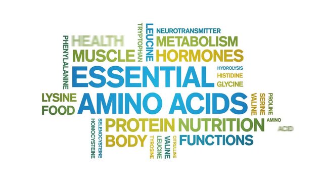 Essential Amino Acids animated word cloud-text design animation tag kinetic typography seamless loop.