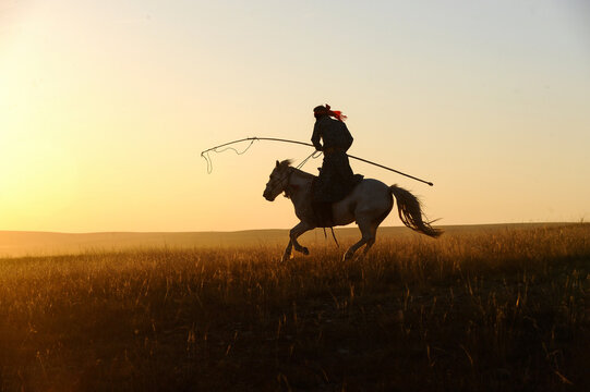 Horseback herder silhouette on grassland at sunset