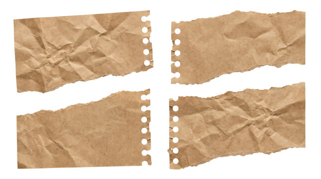 Set of torn brown notebook paper scraps with binder holes