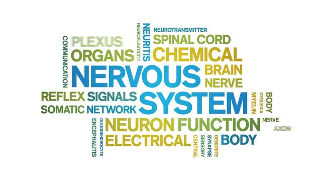 Nervous System animated word cloud-text design animation tag kinetic typography seamless loop.
