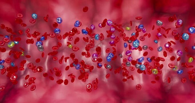 Flowing red blood cells with vitamin spheres, biological concept of nutrient absorption and oxygen transport, 3D Rendering
