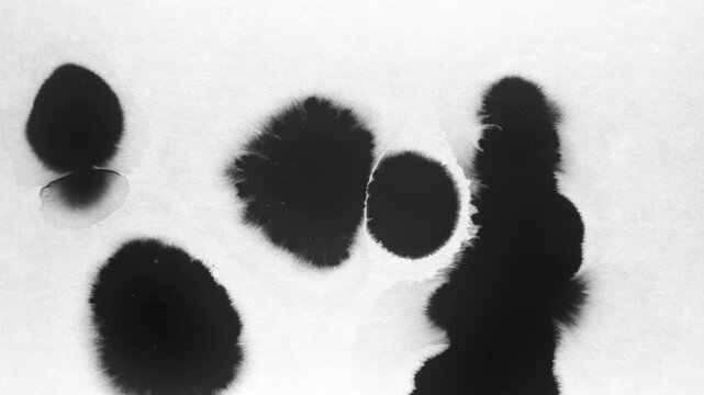 Traditional Chinese Ink Diffusion Motion Background