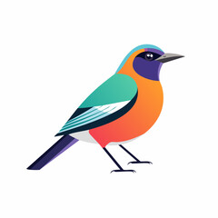 Fototapeta premium Colorful Bird Illustration